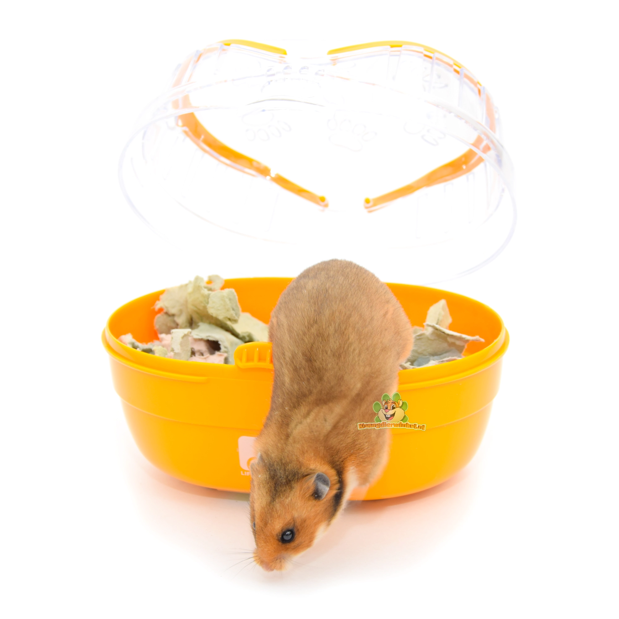 hamster dans une boîte de transport