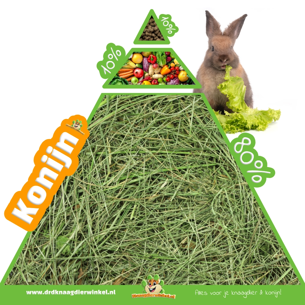 rabbit food guide