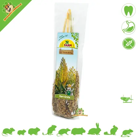 JR Farm Dari Oogst voor Knaagdieren & Vogels