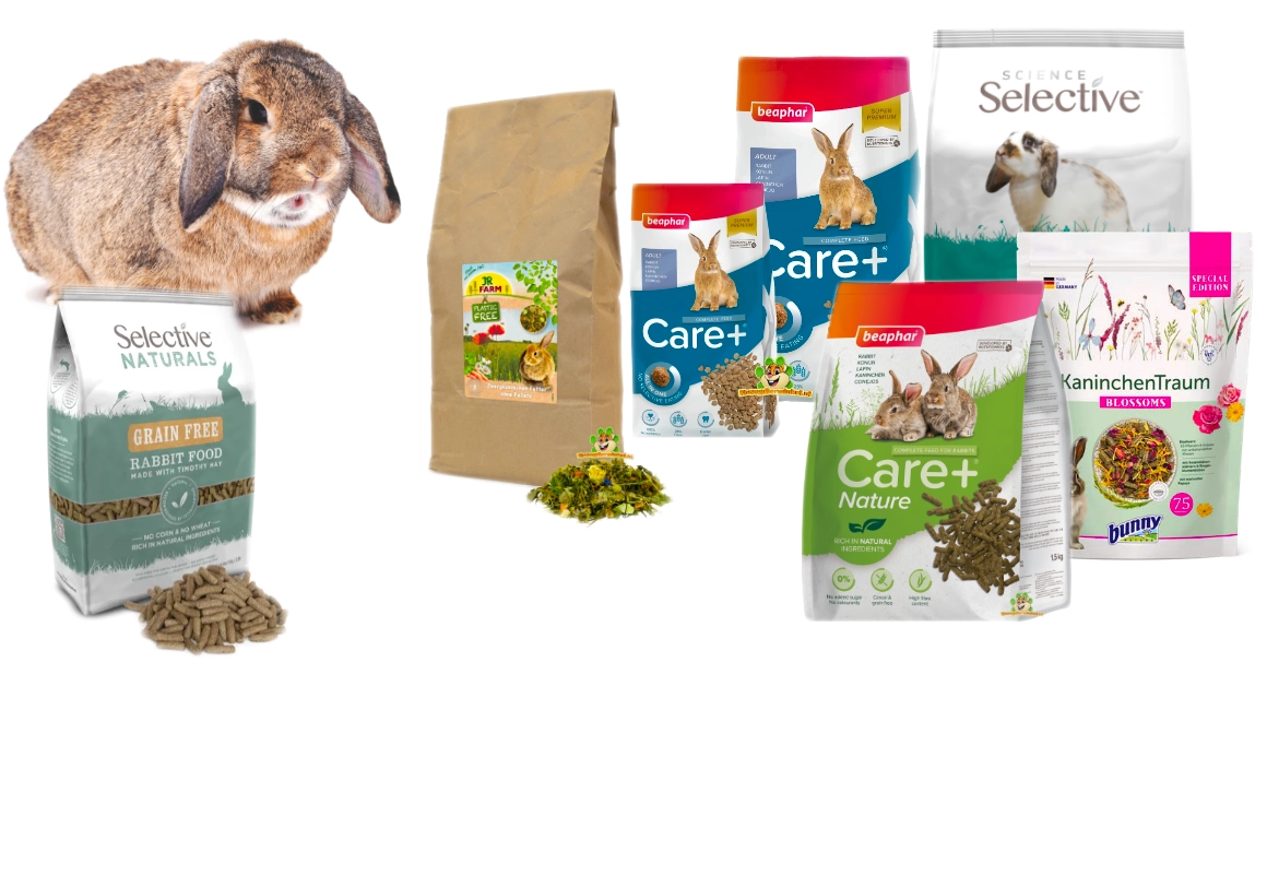 Rabbit eats healthy, natural rabbit food from a bowl – sugar-free food with herbs and grasses