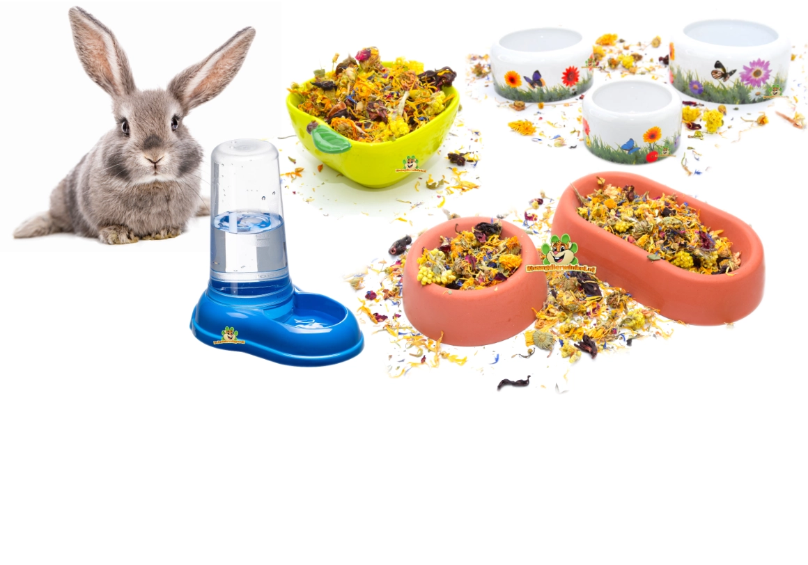 Vous souhaitez acheter une gamelle pour lapin ? Cages robustes et hygiéniques pour lapins