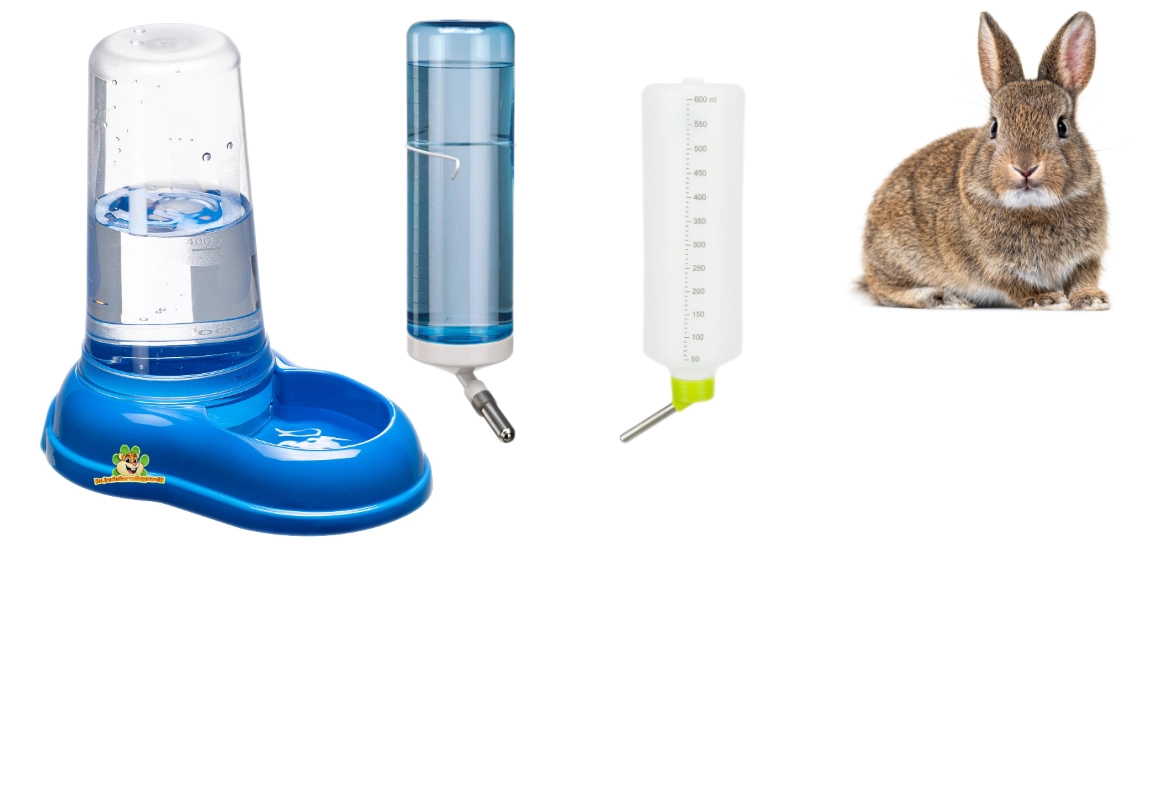 Bouteilles d'eau et bols pour lapins