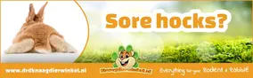 Pododermatite chez les lapins et les rongeurs – Que faire ?