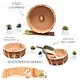 Roue d'exercice pour hamster des forêts