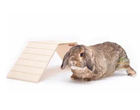 Rabbit Platforms and Ladders