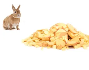 Snacks de conejo de fruta deshidratada