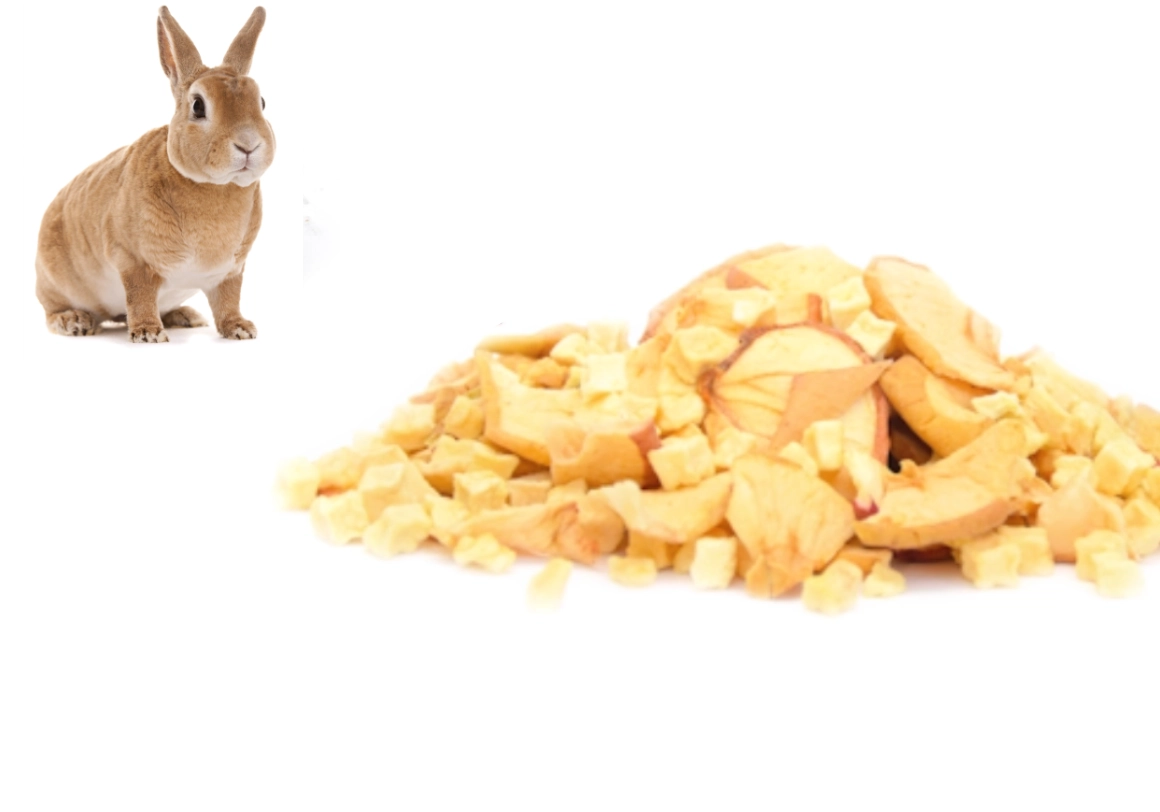 fruits secs pour lapins