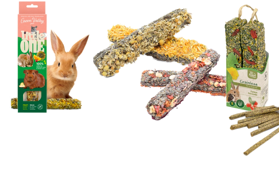 des collations pour lapins saines et responsables pour des lapins en bonne santé
