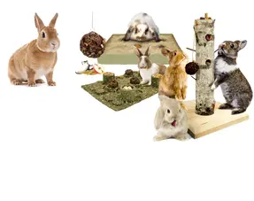 Jouets actifs Rabbit Snacks