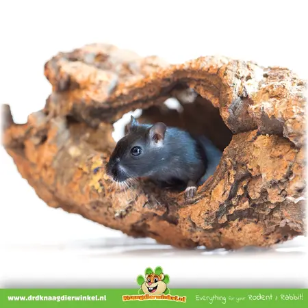 Trixie Cork Tunnel M & L for Hamsterscaping & Gerbilscaping