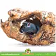 Trixie Korktunnel M & L für Hamster- und Rennmaus-Gartengestaltung