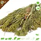 Knaagdier Kruidenier Panicum Gierst Oogst