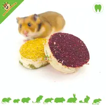 Birch Chewing Discs with Vegetables 2 pieces