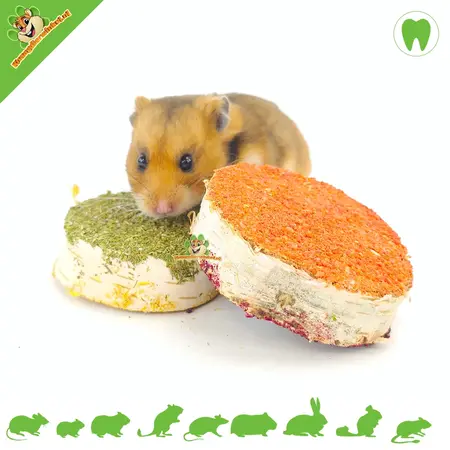 Brzozowe krążki do żucia z warzywami 2 sztuki