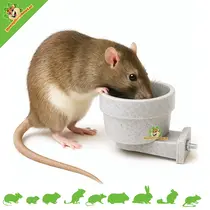 Crock Medium hängender Futternapf / Wassernapf 10 cm