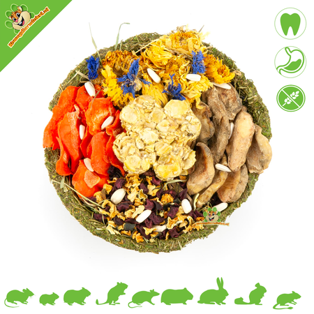 Grain-free Lucky Bowl Herbal Bowl XL 15 cm