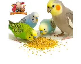 Wellensittichfutter