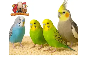 Couverture terrestre pour oiseaux