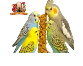 Friandises pour perruches