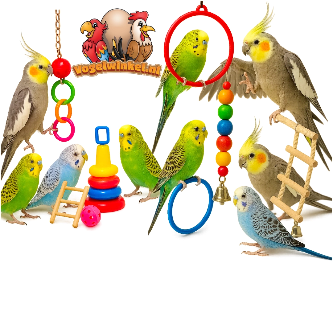 Zabawki dla papug – wspinanie się i niszczenie