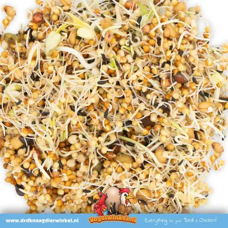 JR Farm Comida para pájaros canarios y periquitos 1 kg