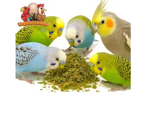 Herbes pour oiseaux