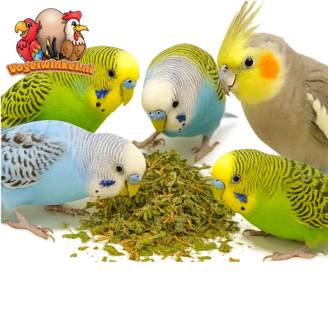 Zioła dla ptaków – wzbogacenie klatek i wolier