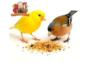 Nourriture pour oiseaux : canaris et pinsons
