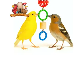 Canari nain et pinson