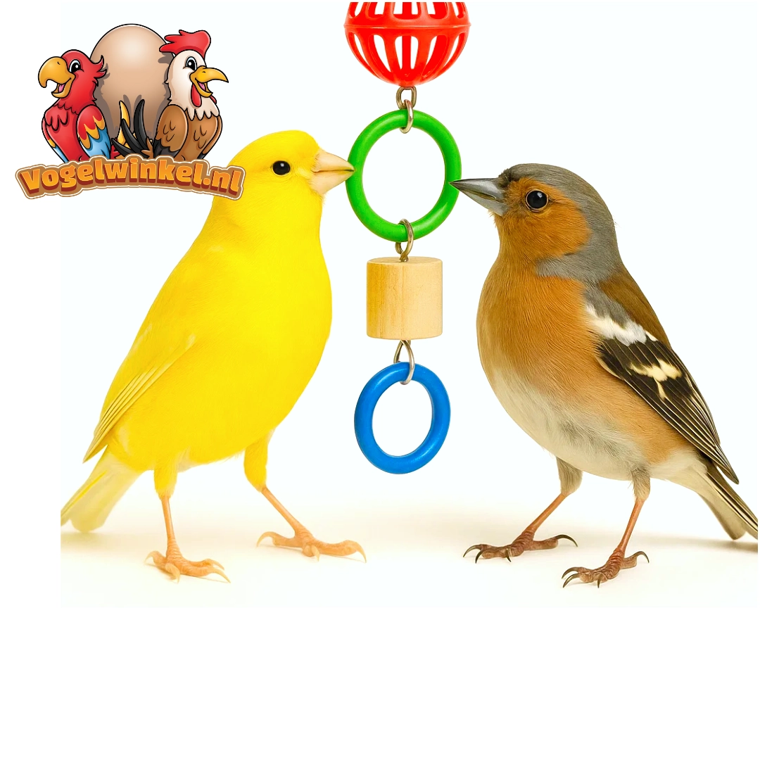 Jouets Songbird – bougez et découvrez