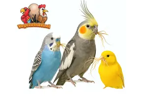 Matériaux pour nids d'oiseaux