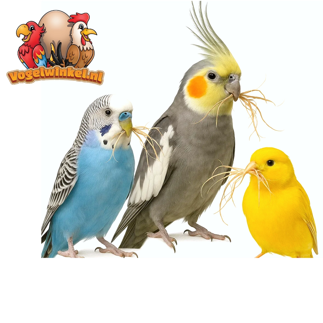 Matériau de nidification pour oiseaux – naturel et confortable