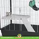 Savic Meseta + Escalera Freddy / Zeno