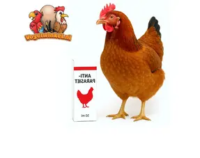 Soins et santé des poulets