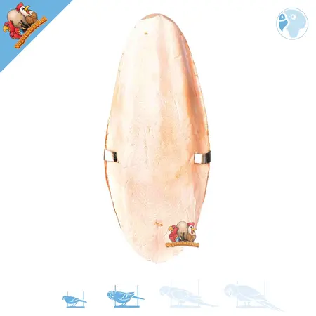 Petite échelle sépia avec support