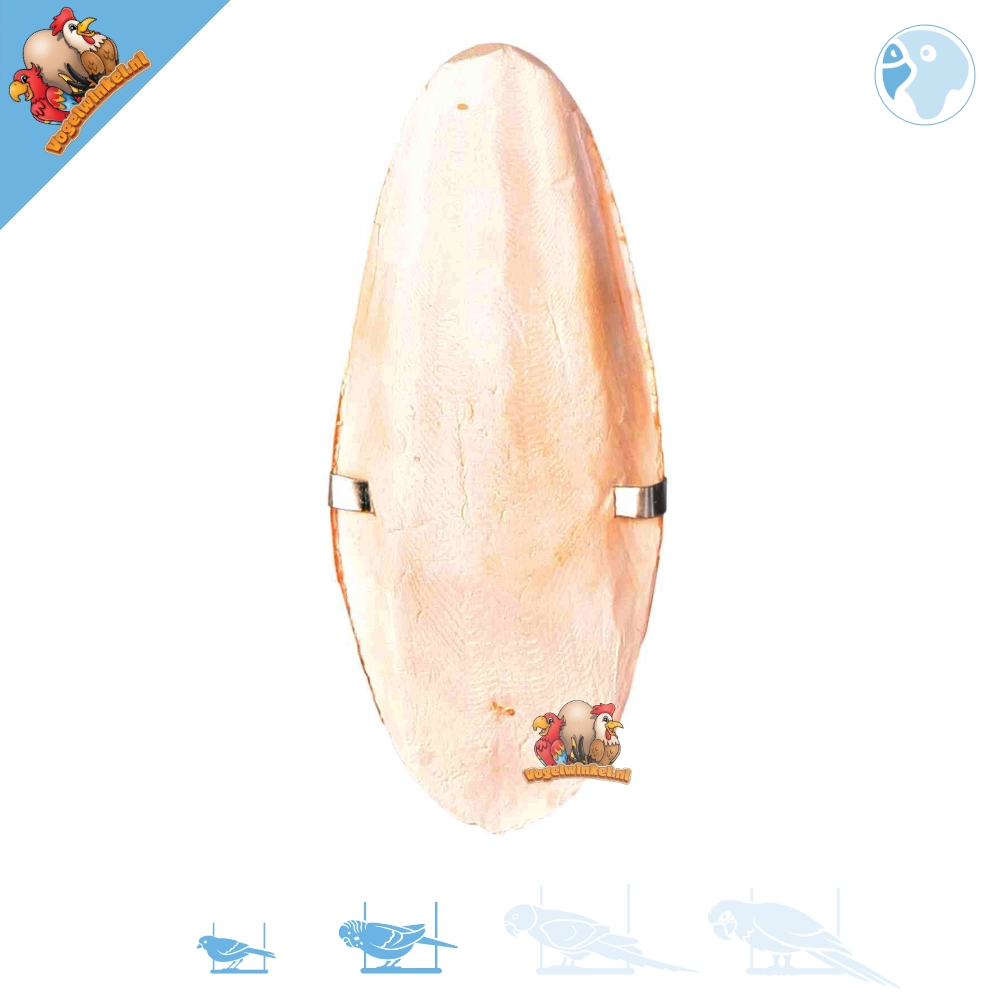 Sepiawaage klein mit Halter