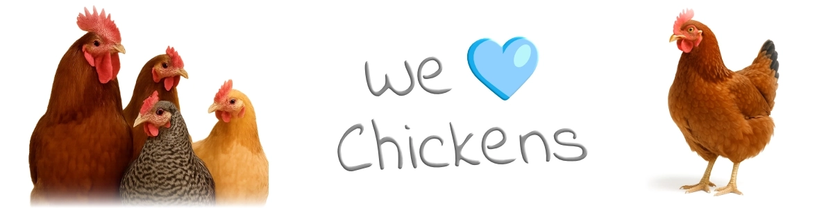 boutique en ligne de poulets, boutique d'oiseaux