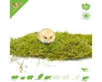 Dried Moss 400 grams