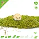 Knaagdierwinkel® Musgo seco de 400 gramos para paisajismo de hámsteres y jerbos.