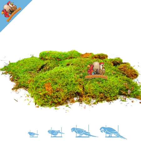 Knaagdierwinkel® Musgo seco de 400 gramos para paisajismo de hámsteres y jerbos.