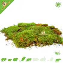 Dried Moss 200 grams