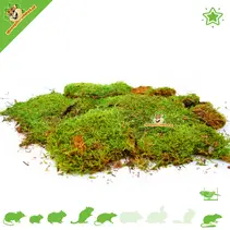 Gedroogd Mos 200 gram