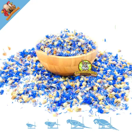 Dried Cornflower Blue for Rodents & Rabbits!