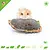 Getzoo Cabezas de girasol secas, 3 unidades