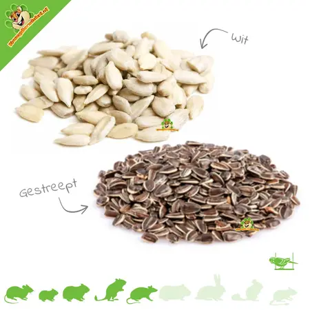 Zonnebloempitten 600 gram