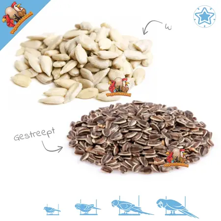 Sunflower seeds 600 grams