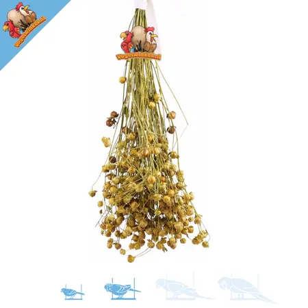 JR Farm Linseed Flax Harvest Plant for Rodents & Birds