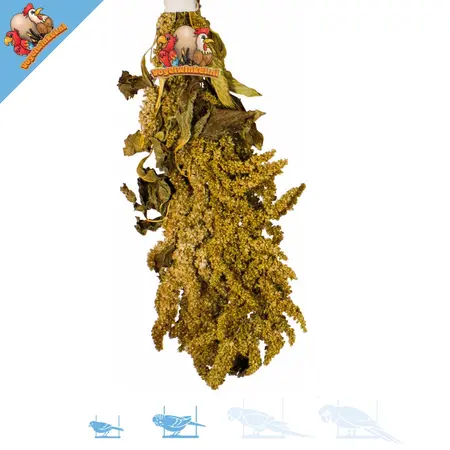 JR Farm Amaranth-Ernte für Nagetiere und Vögel