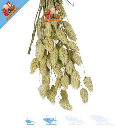 JR Farm Cosecha de alpiste para roedores y aves