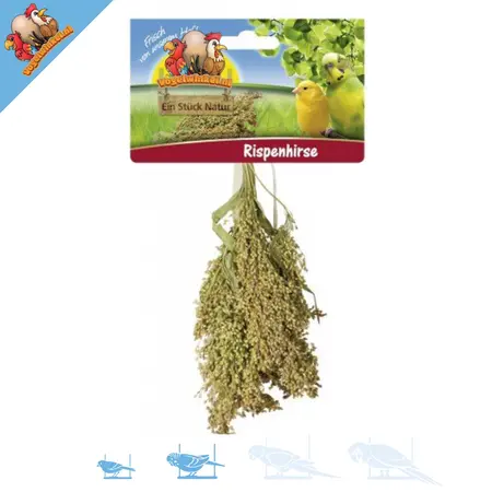 JR Farm Cosecha de mijo plumoso para roedores y aves